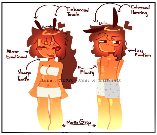 Silly Luna - Midnight Anatomy