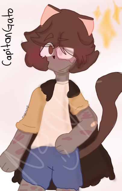 Capitan gato (Nuggetsmp)
