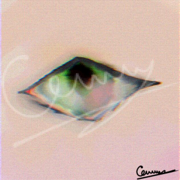 MORE 👁️❤️✨