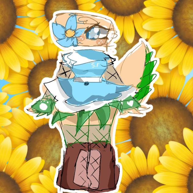 shelly outfit