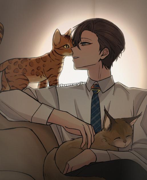 Trio baraju. Kitty