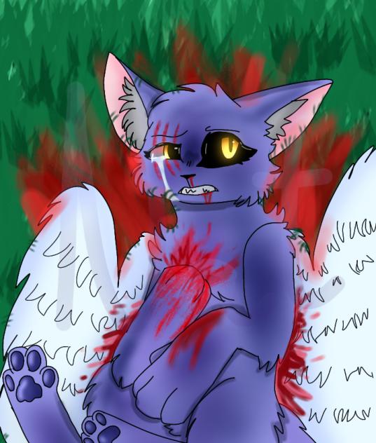 Cat death