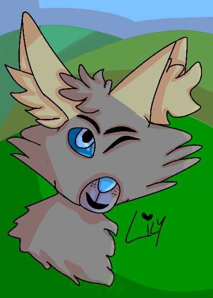 Lily