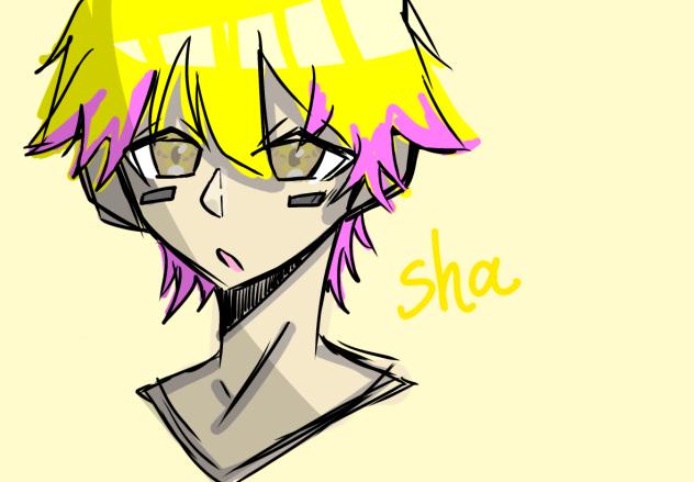 Shaさん
