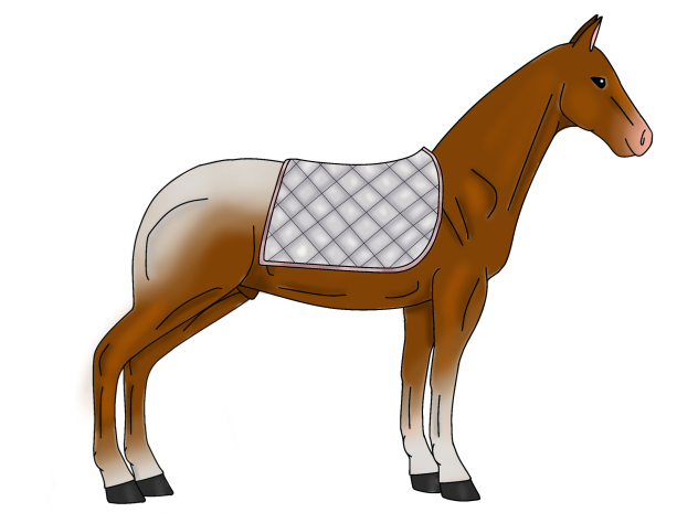Gray saddle pad 🔘