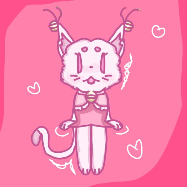 💝 🐈