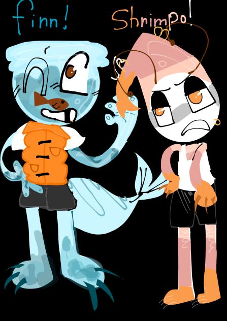 FINN X SHRIMPO !