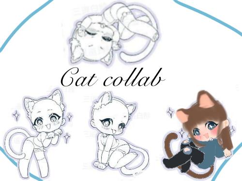 Cat collab UvO