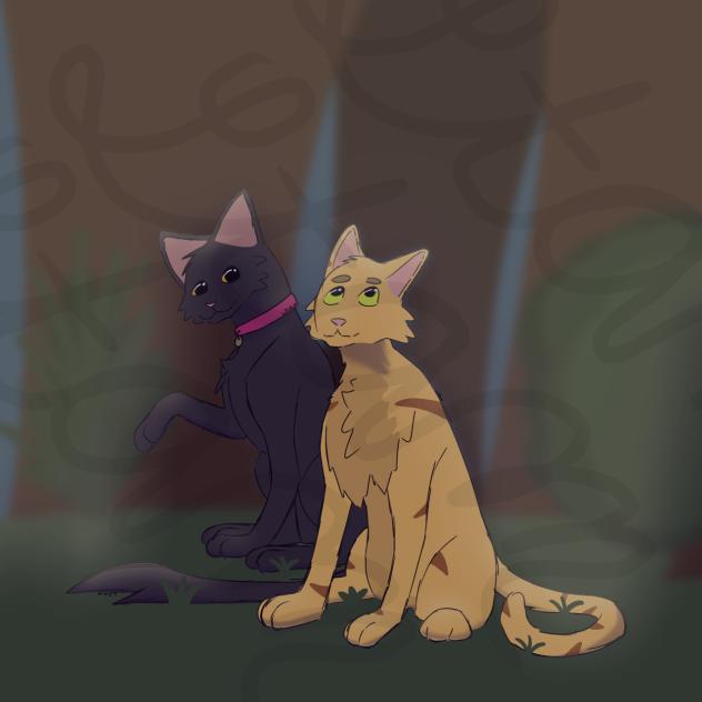 Cat&Mango(NOT MY OC’S)