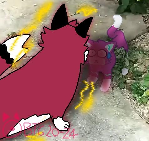 A Fox and Cat fight