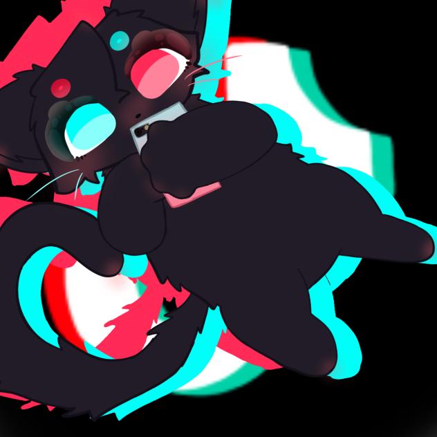 TikTok Cat