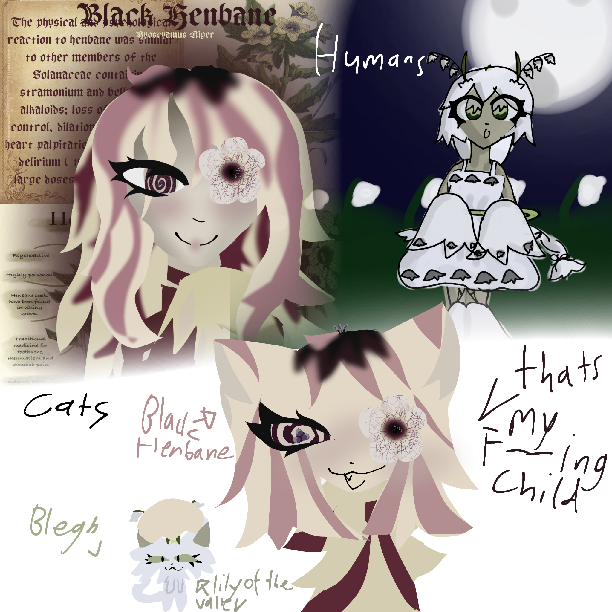 silly art of their cat Versions - ibisPaint