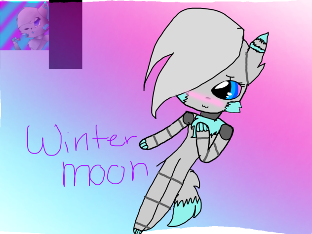 for winter moon the pirate fox