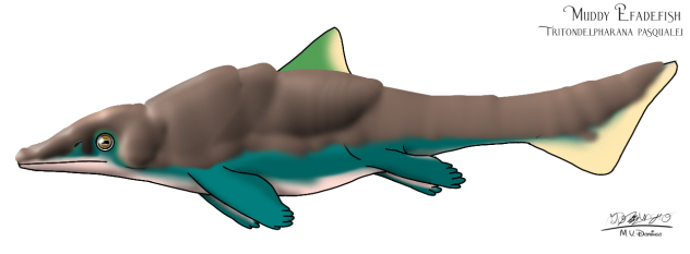 Muddy Efadefish (mudded)
