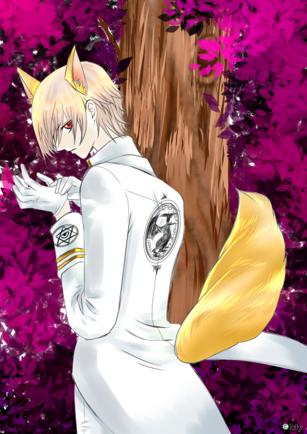 森とキツネ
