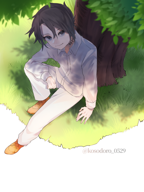レイ