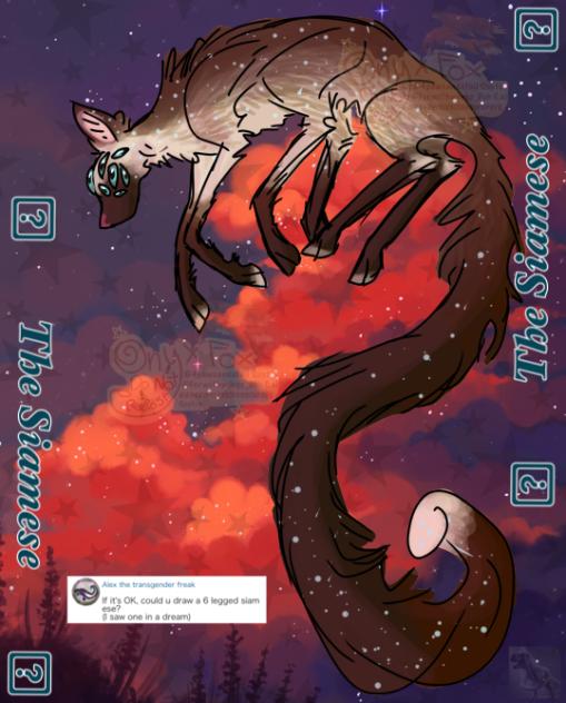 Rq - Six legged siamese kittie kat
