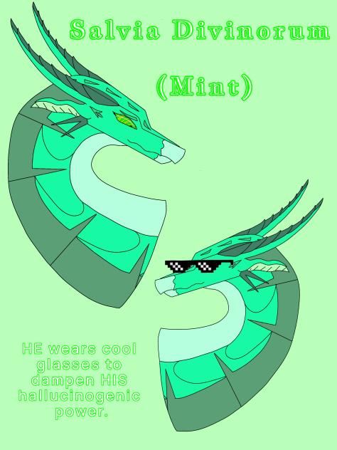 Salvia Divinorum (Mint), but better