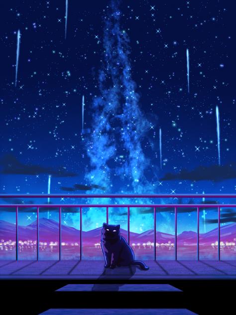 Cat at Night
