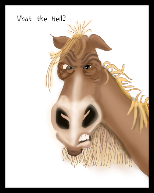 What the Hell - ibisPaint