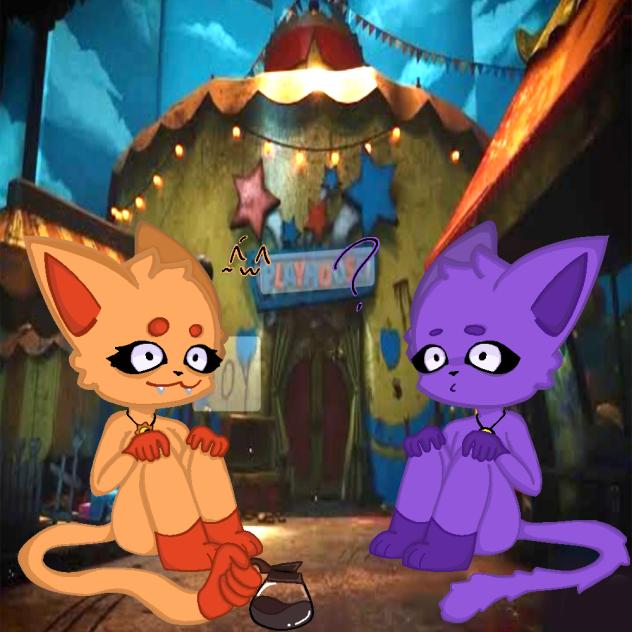 CatNap and Catfeine