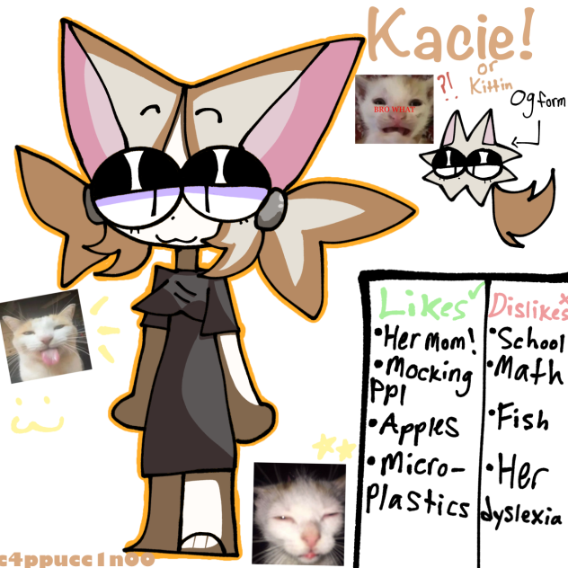 silly kacie facts lolz