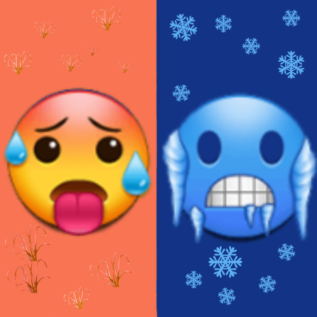 🥶&🥵