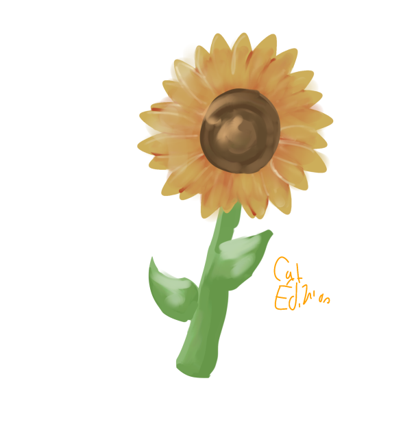 Sunflower -- Realism pratice