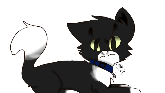 The Devil's Cat - ibisPaint