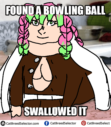 smth Mitsuri surely would do
