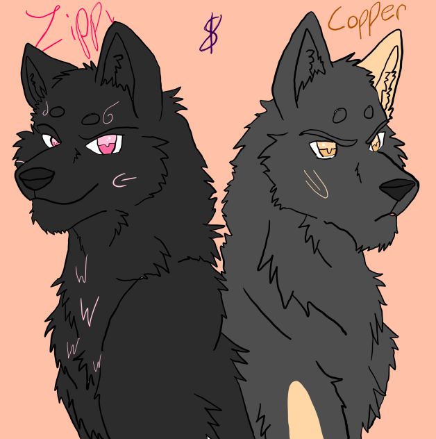 THE TWINS