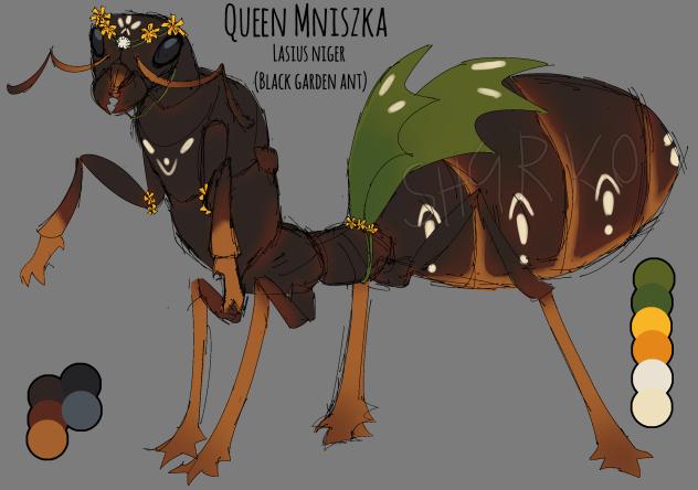 PEAK ANT OC 🤑🤑🤑