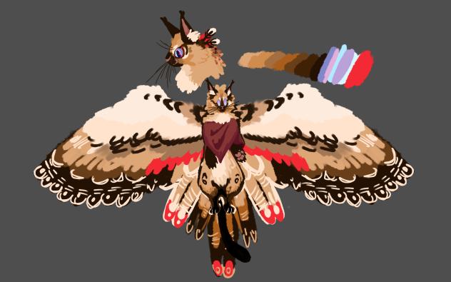 birdcat