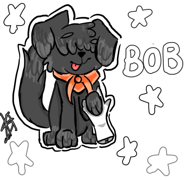 my dog ❤️🧡💛💚💙