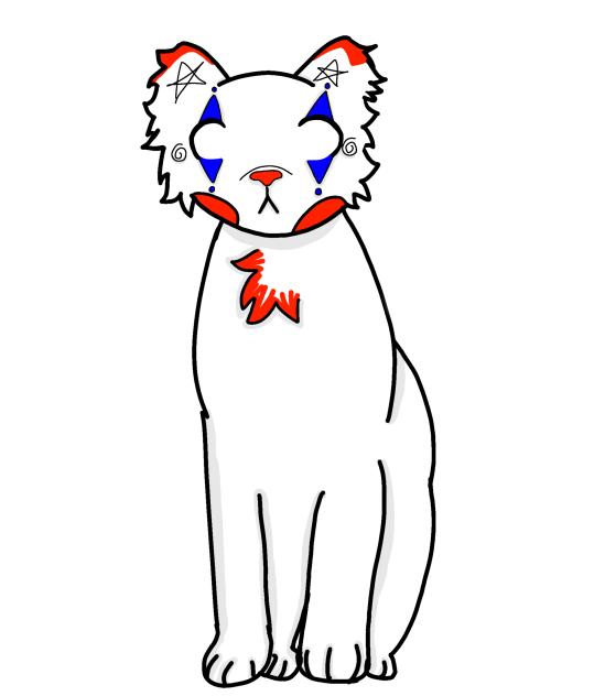 Clown cat