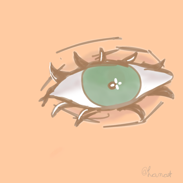 Eye