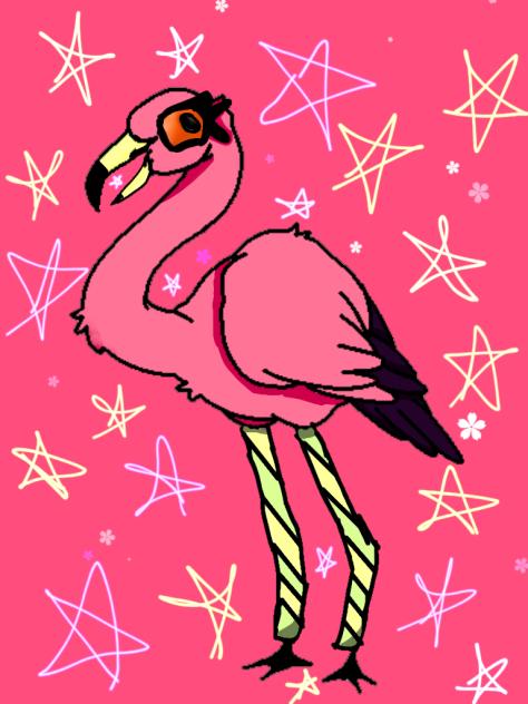 Flamingo Legs!