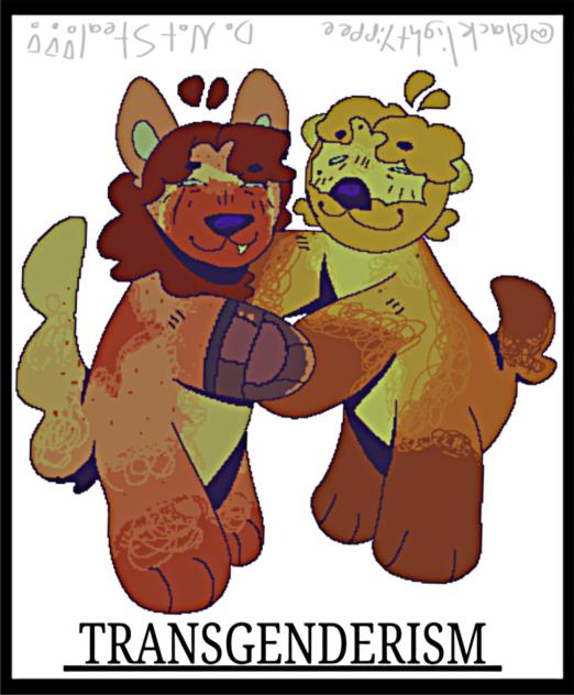 TRANSGENDERISM