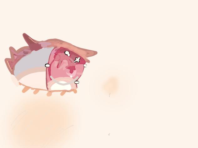 pink eye