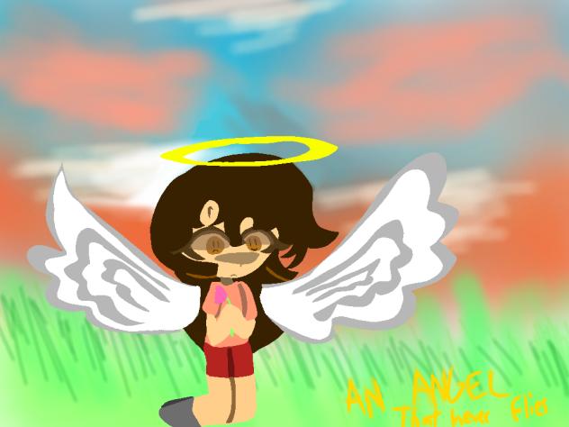 did you ever see an angel that can't fly