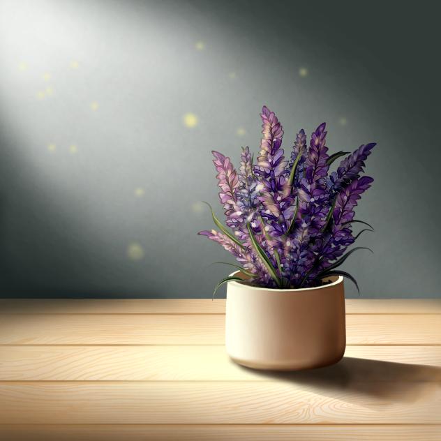 Lavender pot with sunlight