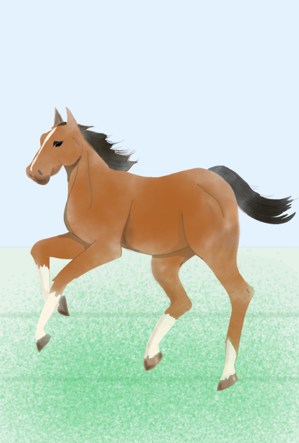 horse - ibisPaint