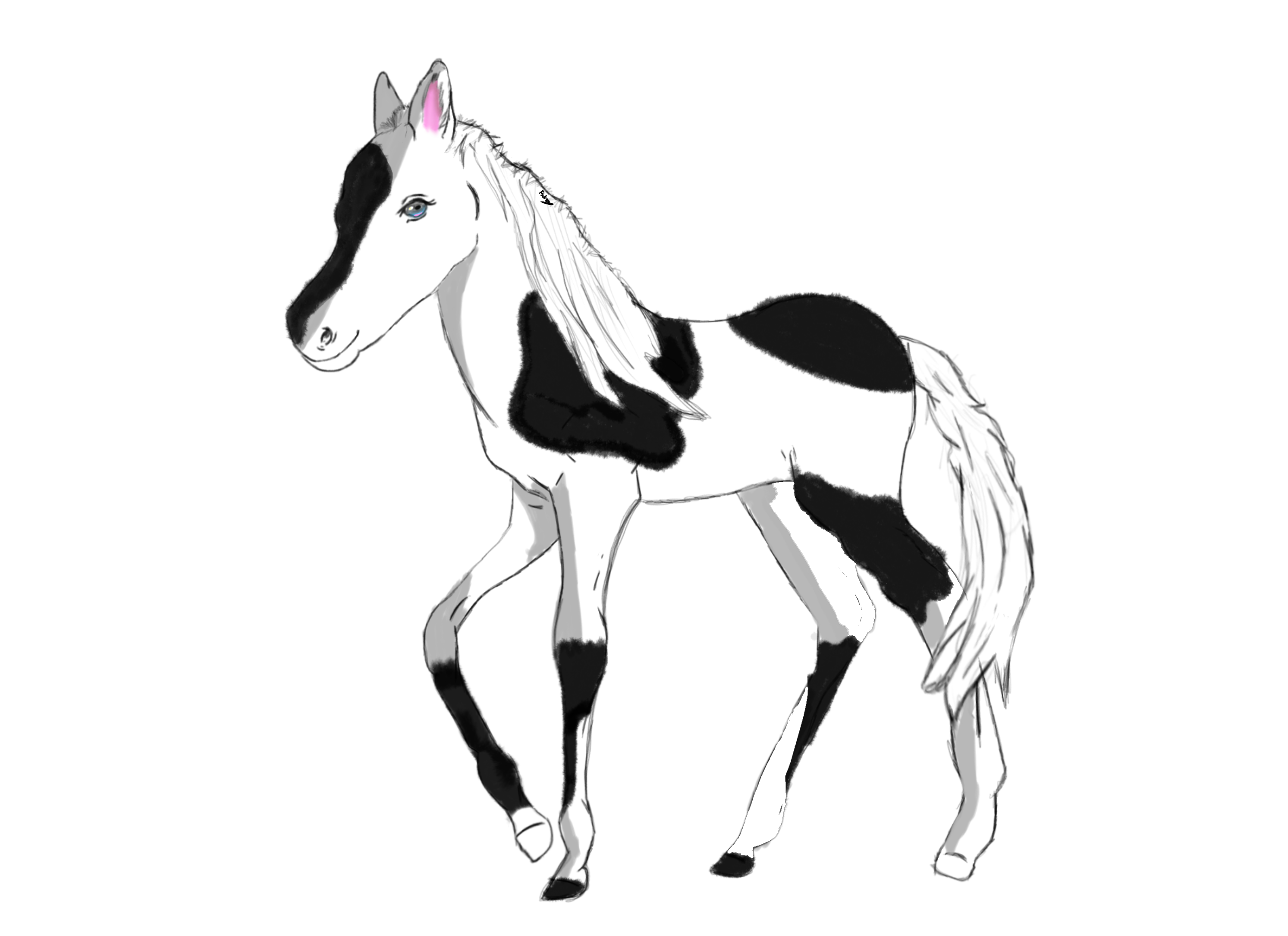 First drawing of a horse in digital art - ibisPaint