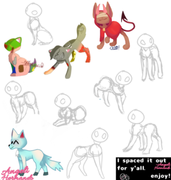 animal collab
