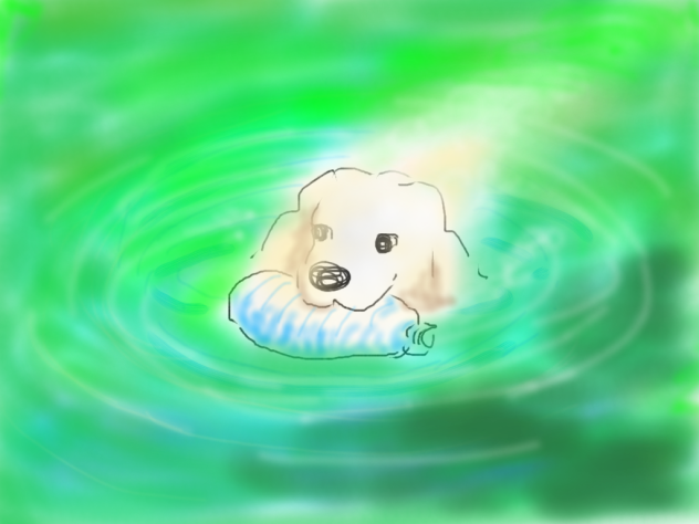 ゴミを拾う犬もも子