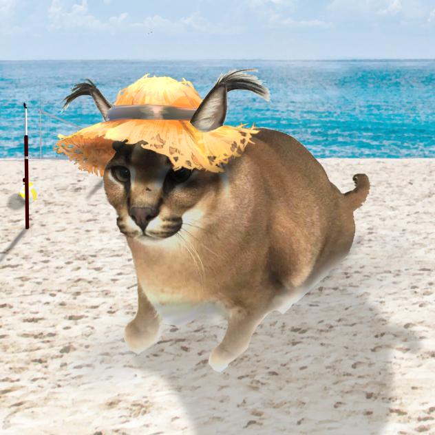 beach floppa
