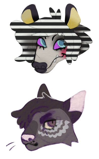 headshots opossum and opossumcat hybrid