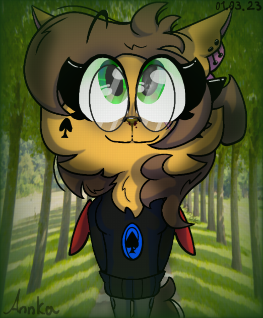 Аннка зырит - ibisPaint