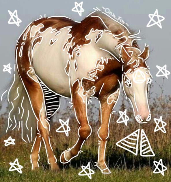 ⭐️Paint horse therian⭐️