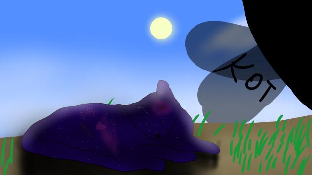 галактический кот